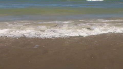 Vacation BeachFuck with ASMR for Perverts