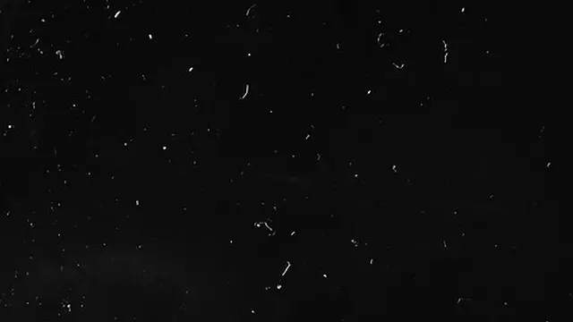 Sleazy Mature Women Group Sex