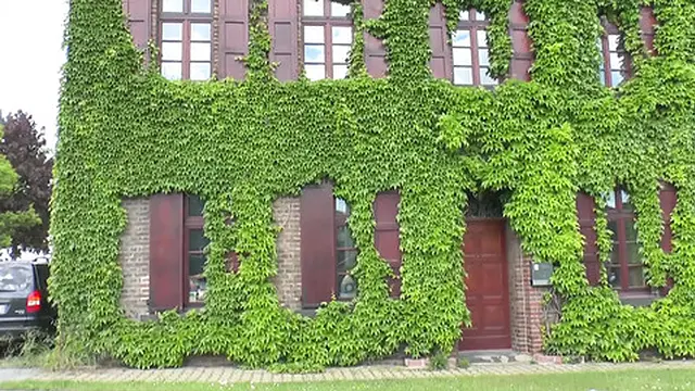 Dirty nun′s throat-fucky blow job