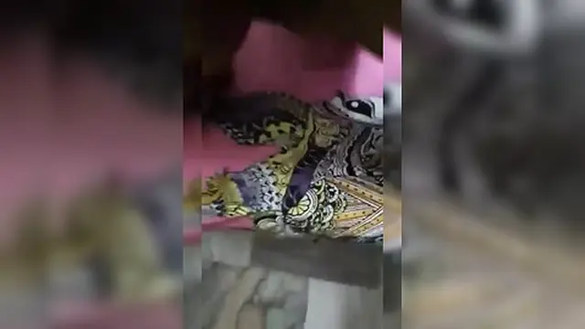 Dirty  honey gets pounded mercilessly in lustful doggy style debauchery